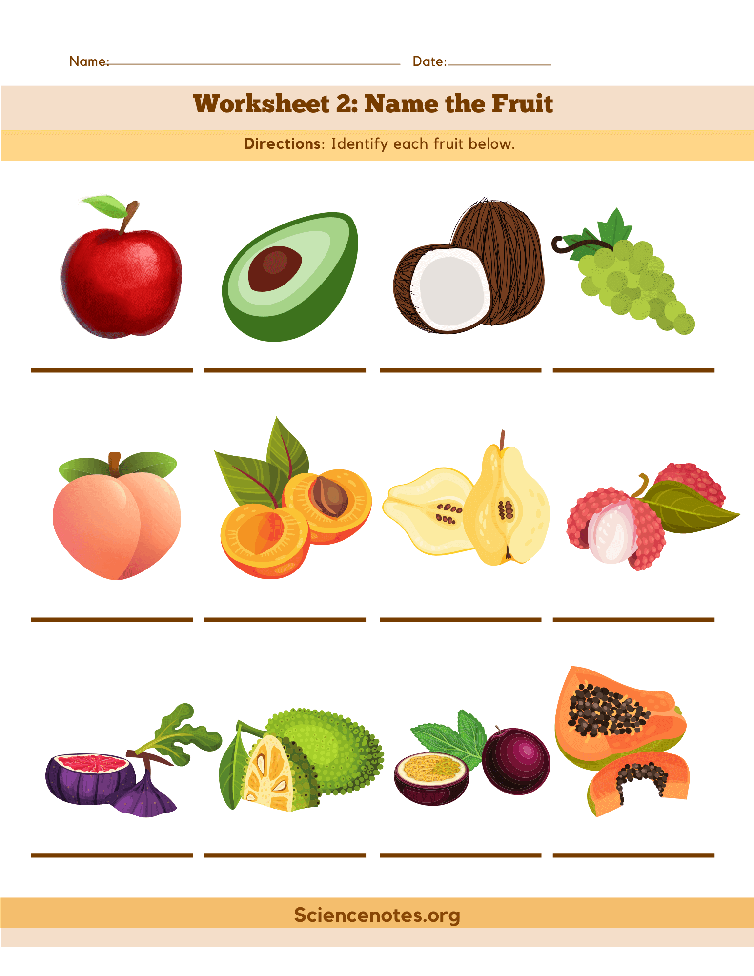 fruits and vegetables names with pictures pdf