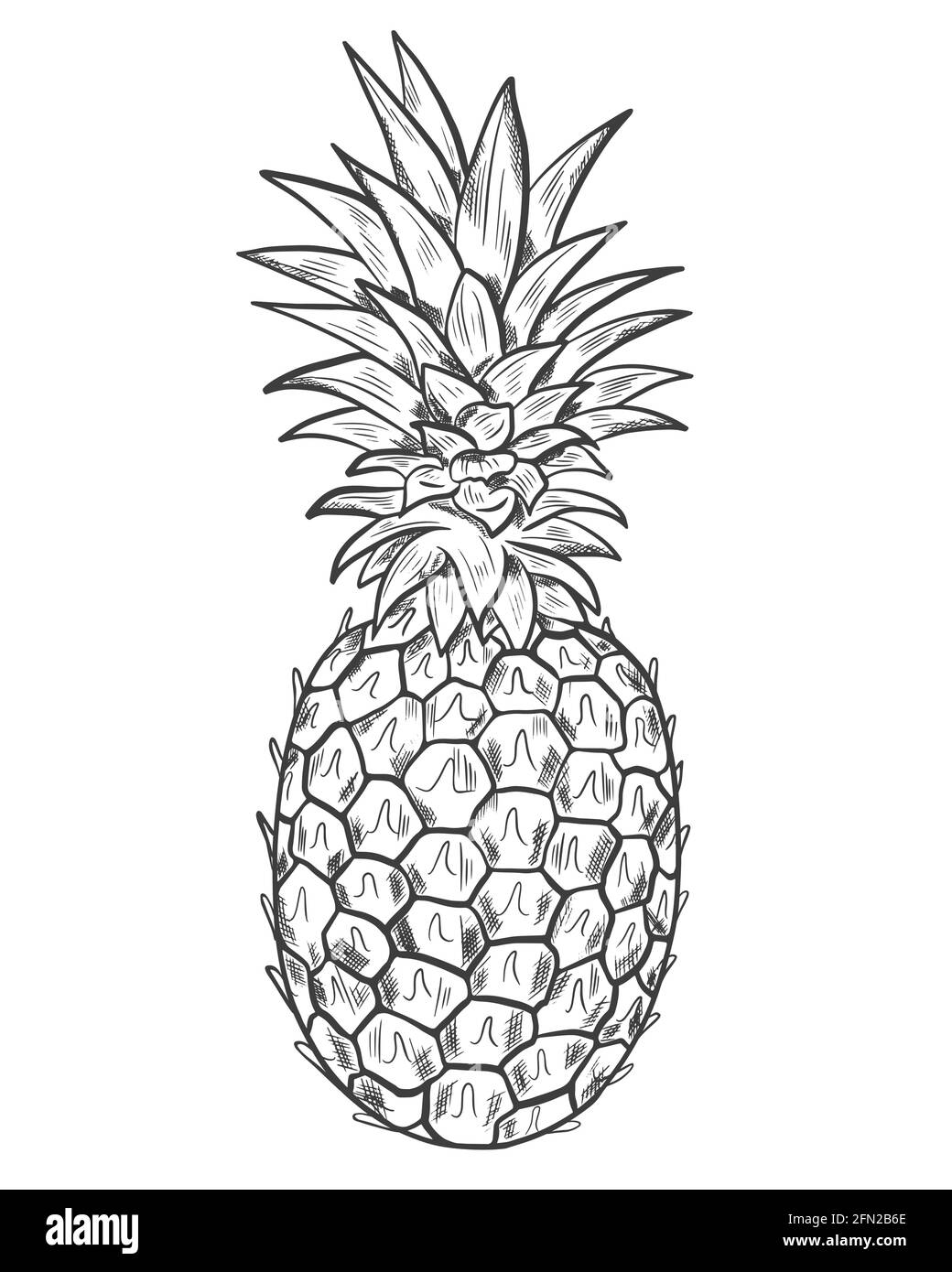 fruits drawing pictures