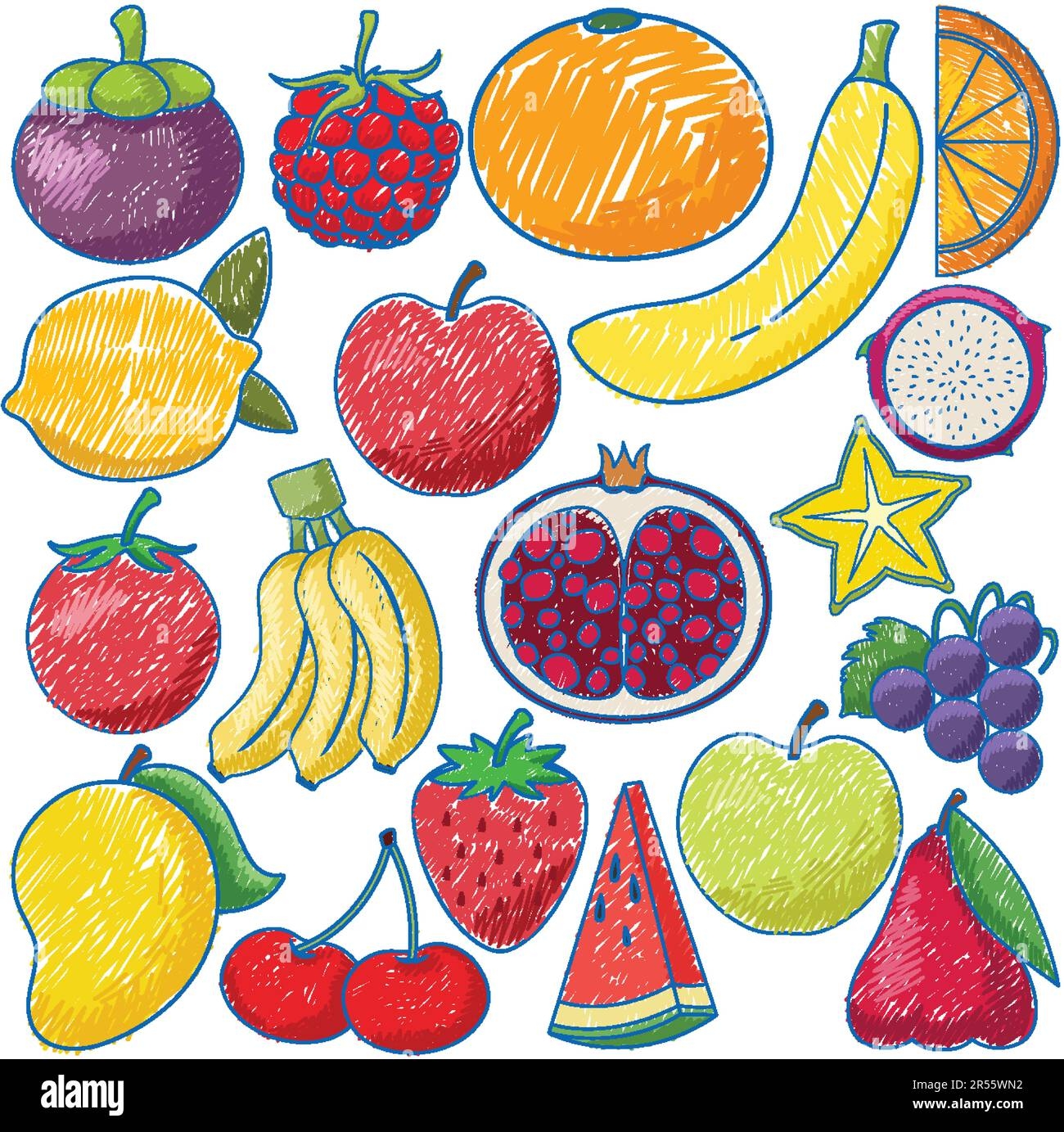 Fruits In Pencil Colour Sketch Simple Style Illustration Stock Vector Image U0026 Art Alamy