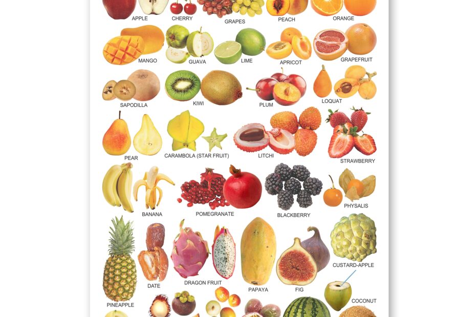 Fruits Laminated Wall Chart