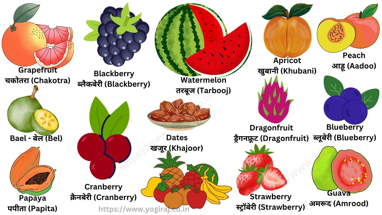 many seed fruits name with pictures