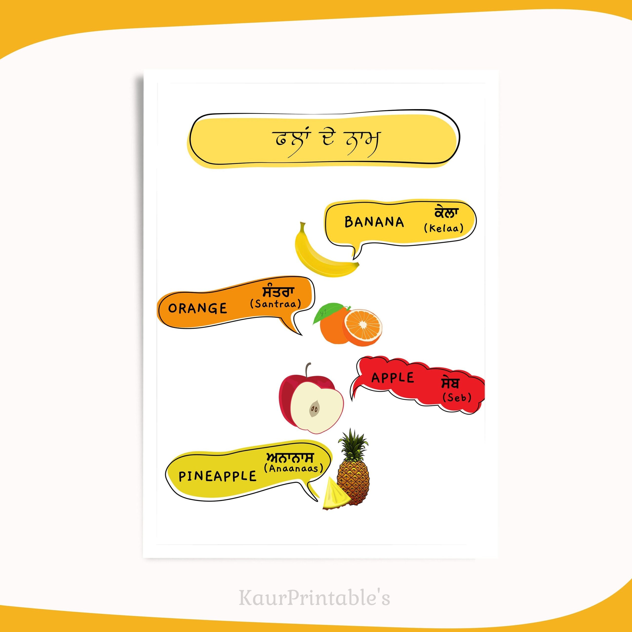 Fruits Names In Punjabi And English Bilingual Fruits Names Learning Bundle Fruits Names Printable Worksheets Educational Prints For Kids Etsy Israel