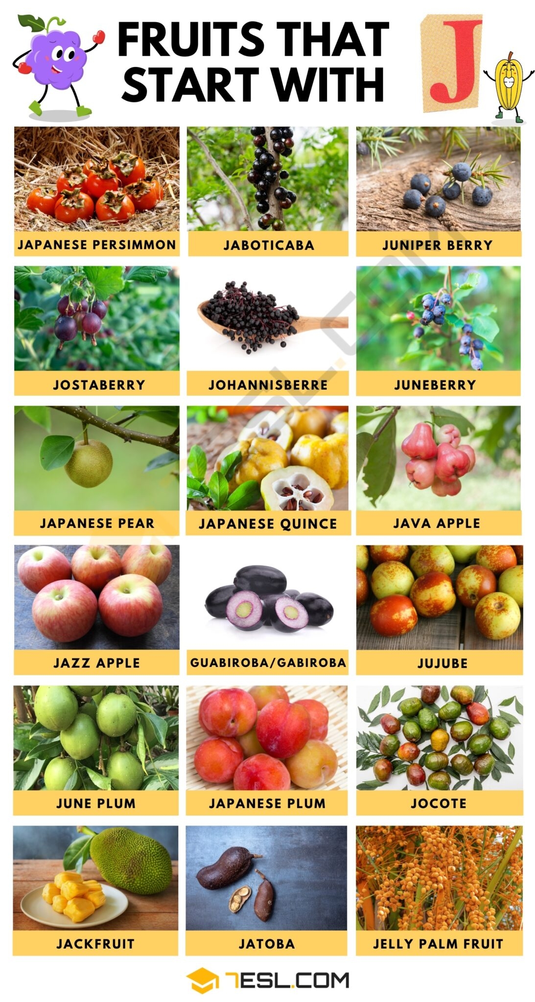 Fruits That Start With J In English 7ESL