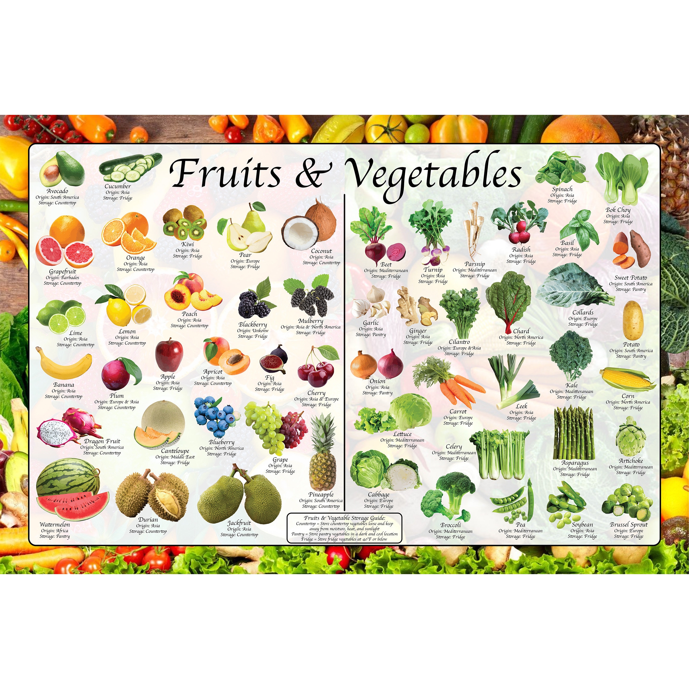 Fruits U0026 Vegetables Identification And Storage Poster Culinary 