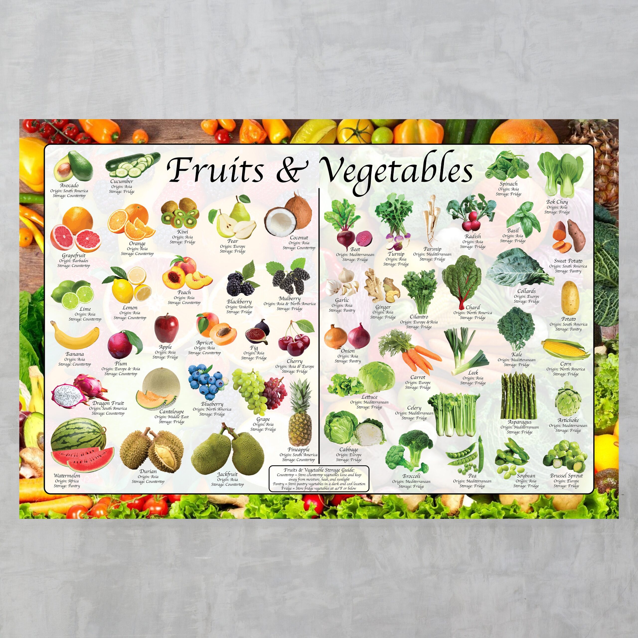 Fruits U0026 Vegetables Identification And Storage Poster Culinary Arts Poster Providing Origin Best Storage And Identification Etsy