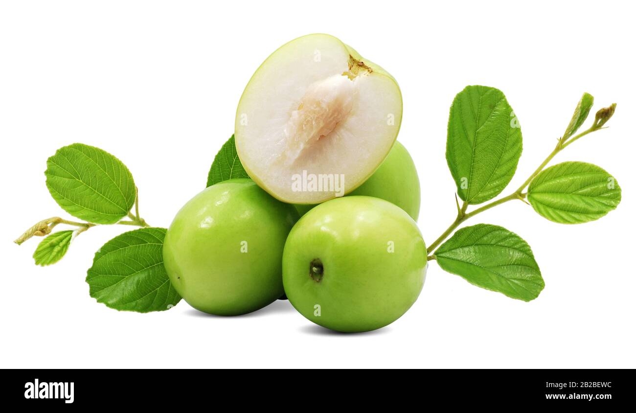 picture of jujube fruit