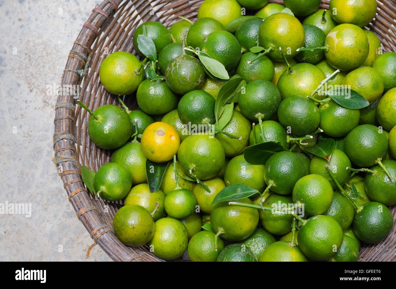 kumquat fruit picture