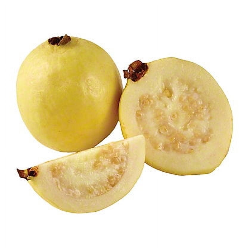 picture of guava fruit