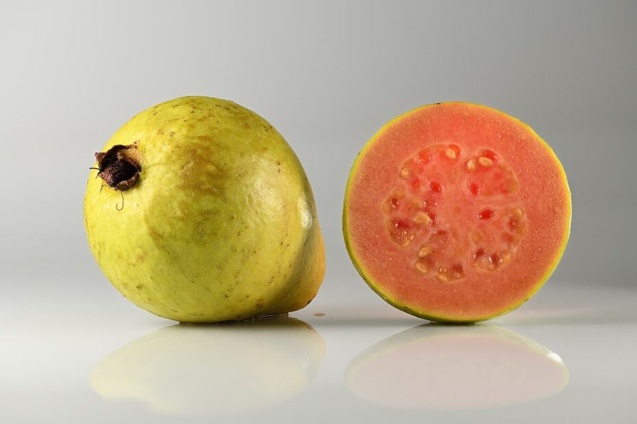 Guava Wikipedia