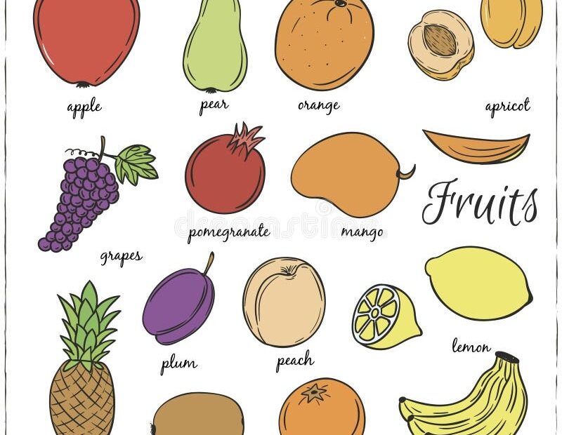 Hand Drawn Doodle Fruits Name Stock Illustrations 19 Hand Drawn