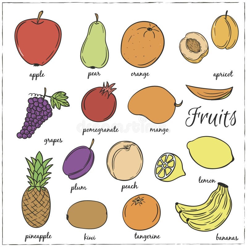 Hand Drawn Doodle Fruits Name Stock Illustrations 19 Hand Drawn Doodle Fruits Name Stock Illustrations Vectors U0026 Clipart Dreamstime