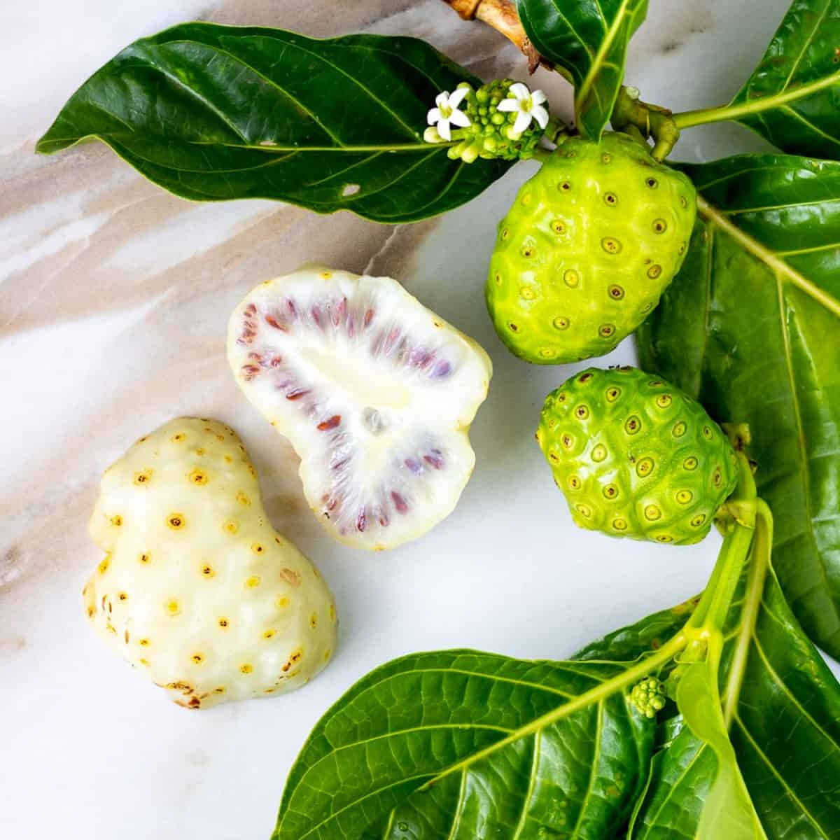 Hawaiian Noni Poppys Wild Kitchen