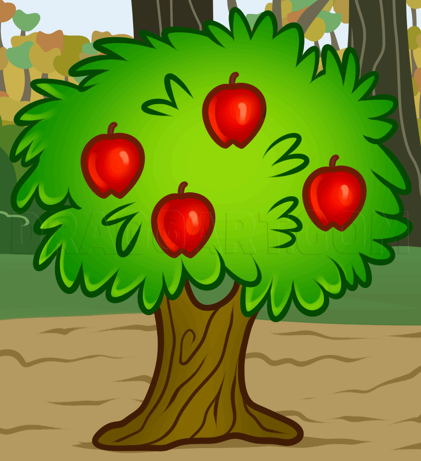 picture of a tree with fruits