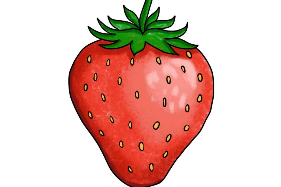 How To Draw Fruit HelloArtsy
