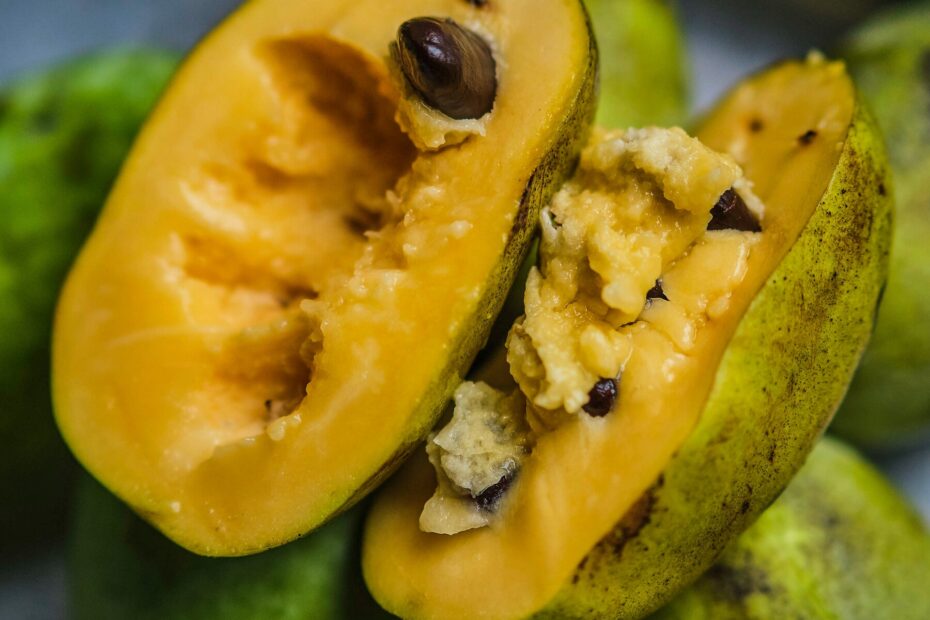 How To Grow and Eat A Pawpaw The New York Times