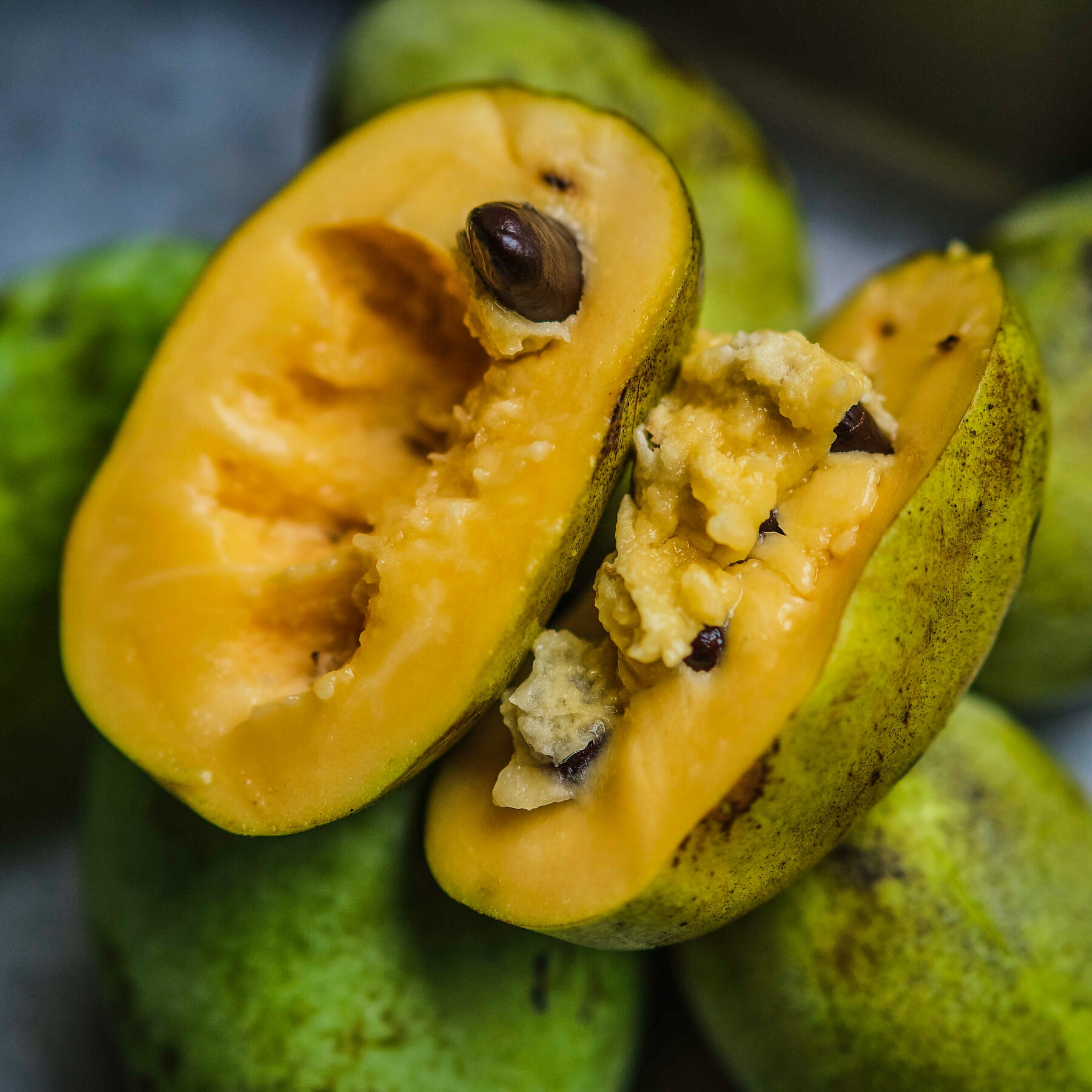 How To Grow and Eat A Pawpaw The New York Times