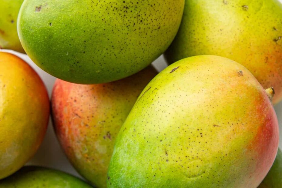 How To Pick A Ripe Mango Visual Guide Tips Connoisseurus Veg