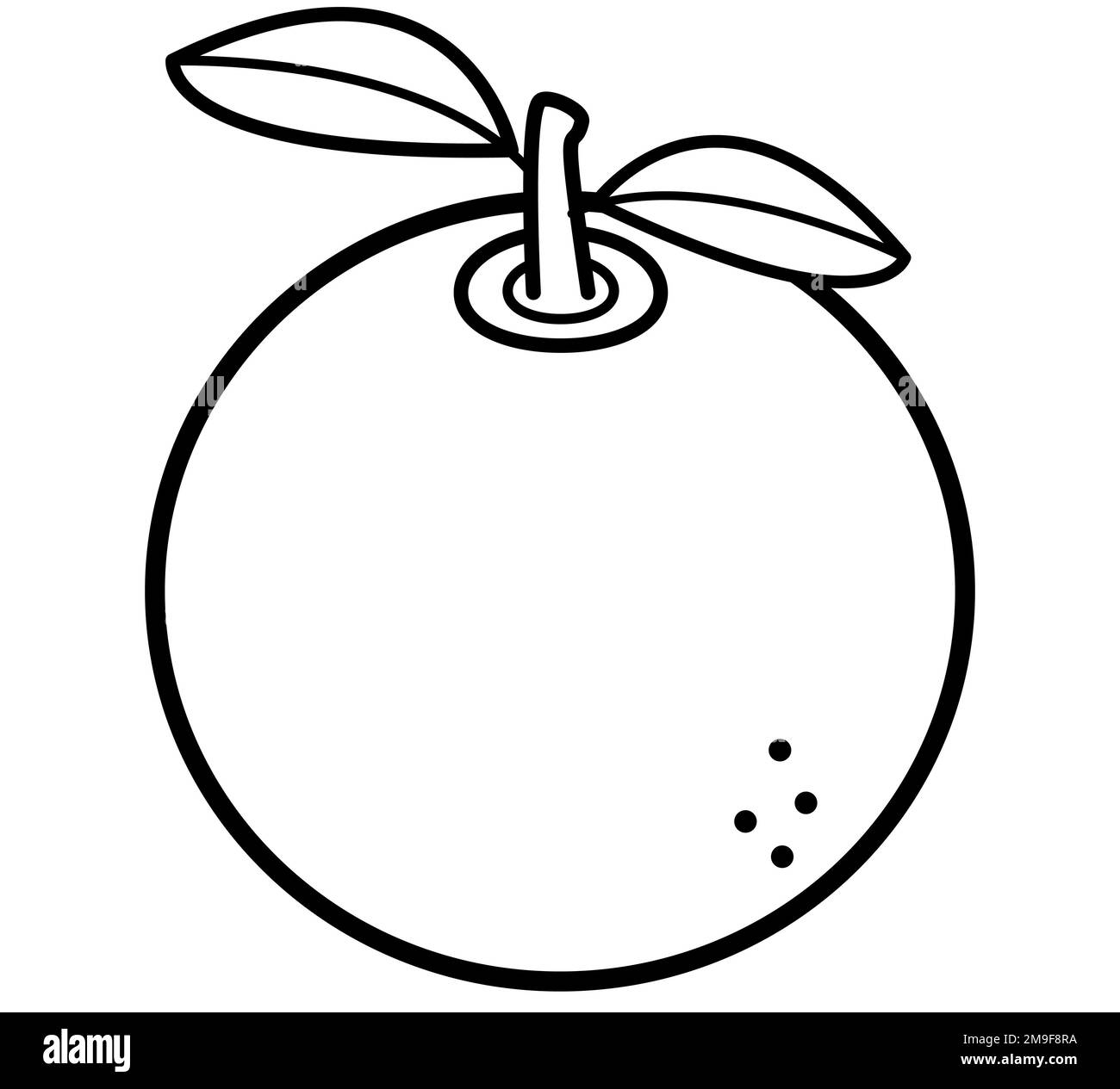 Illustration Of A Orange Fruit Without Color Cartoon Draw Orange 
