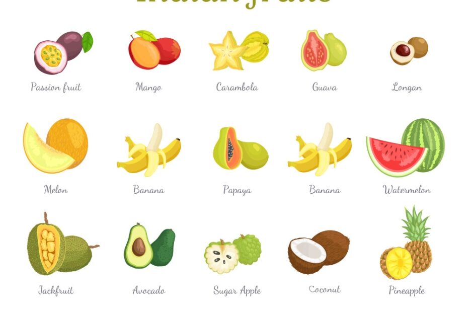 Indian Fruits Set India Food Royalty Free Vector Image