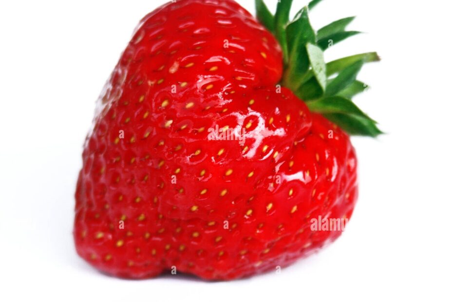 Isolated Green Ripe Progenies Fruits Fruit Fruity Strawberry Berry