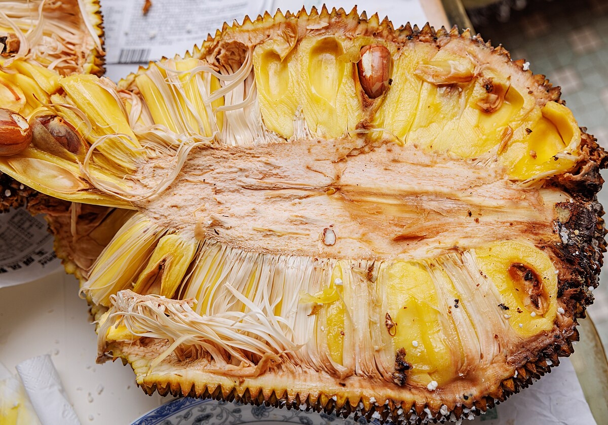 picture of jackfruit fruit