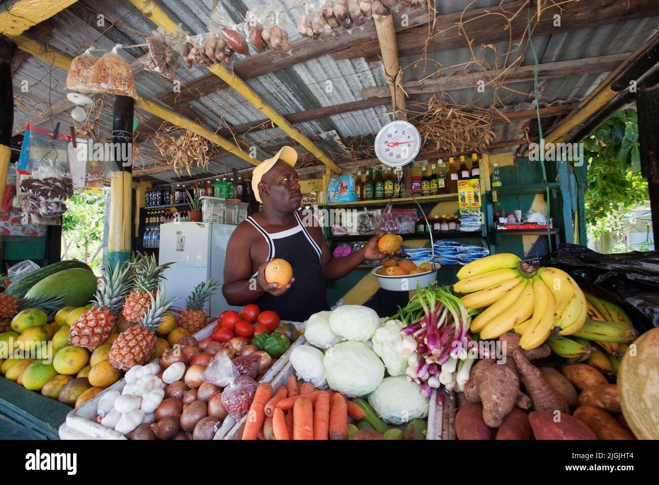 jamaican fruits and vegetables pictures