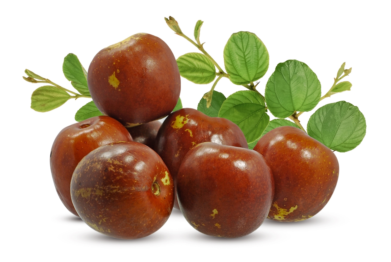 Jujube Fruit Half Your Plate