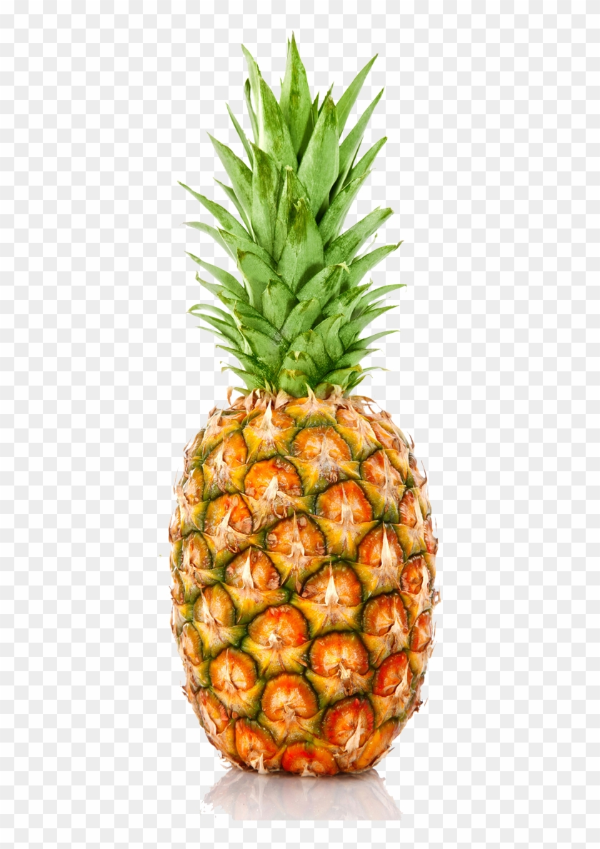Kidz Bop On Twitter Individual Fruit And Vegetables Free 