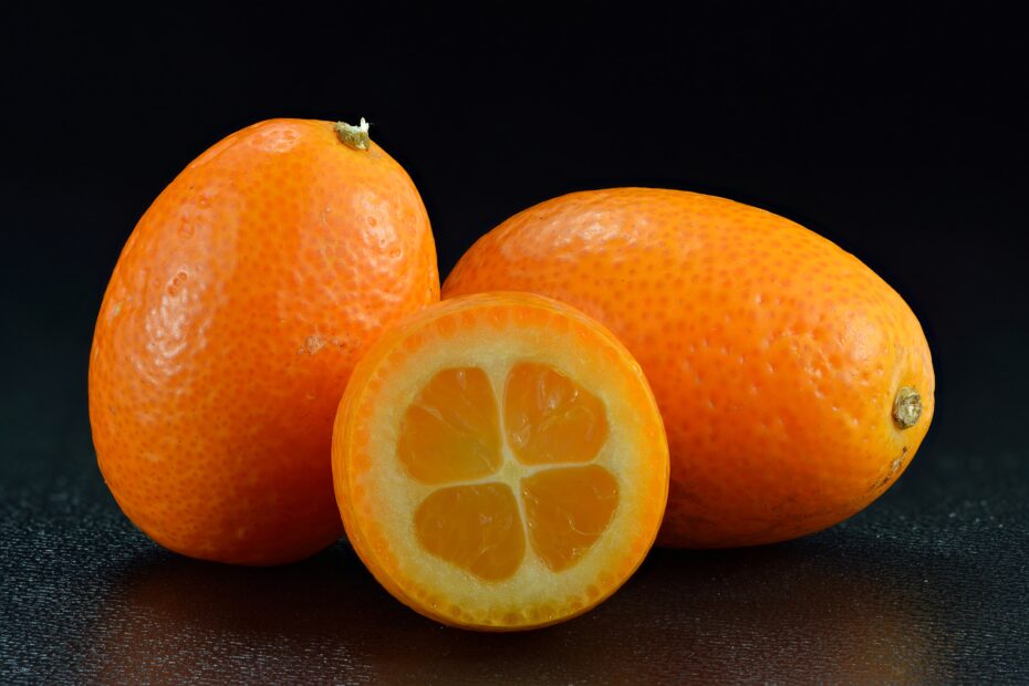 Kumquat Wikipedia