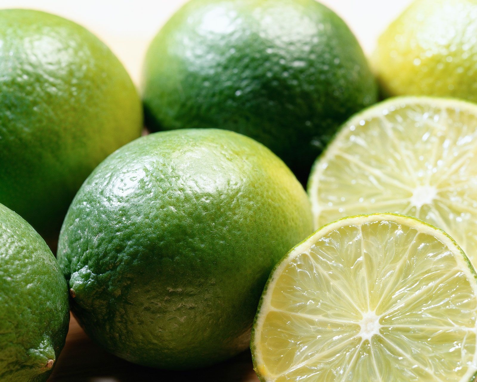 Lime Description Fruit Types Varieties History U0026 Facts Britannica