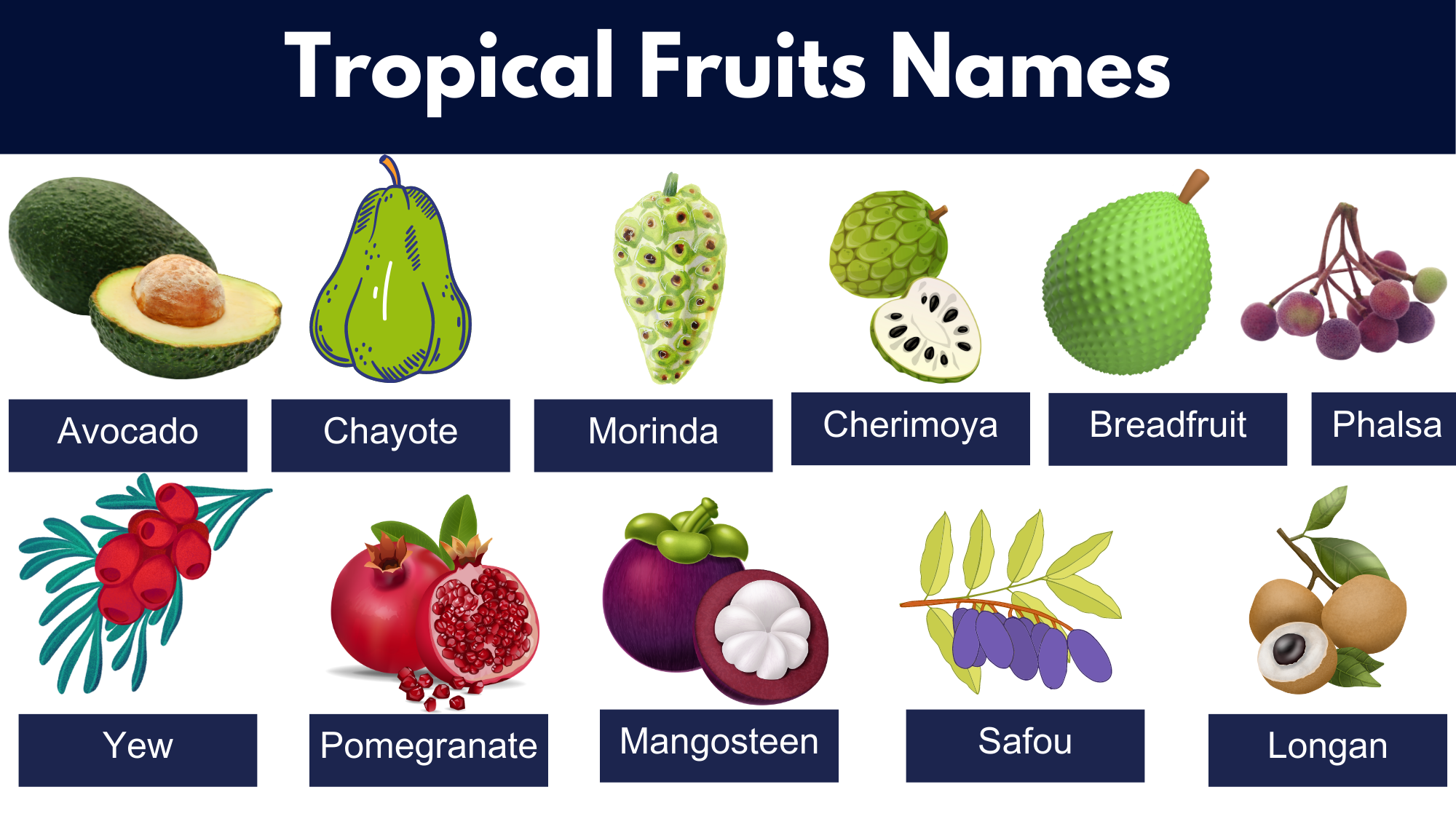 List Of All Tropical Fruits Name Pictures PDF GrammarVocab
