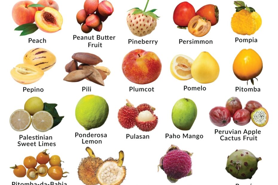 List Of Fruits That Start With P With Pictures