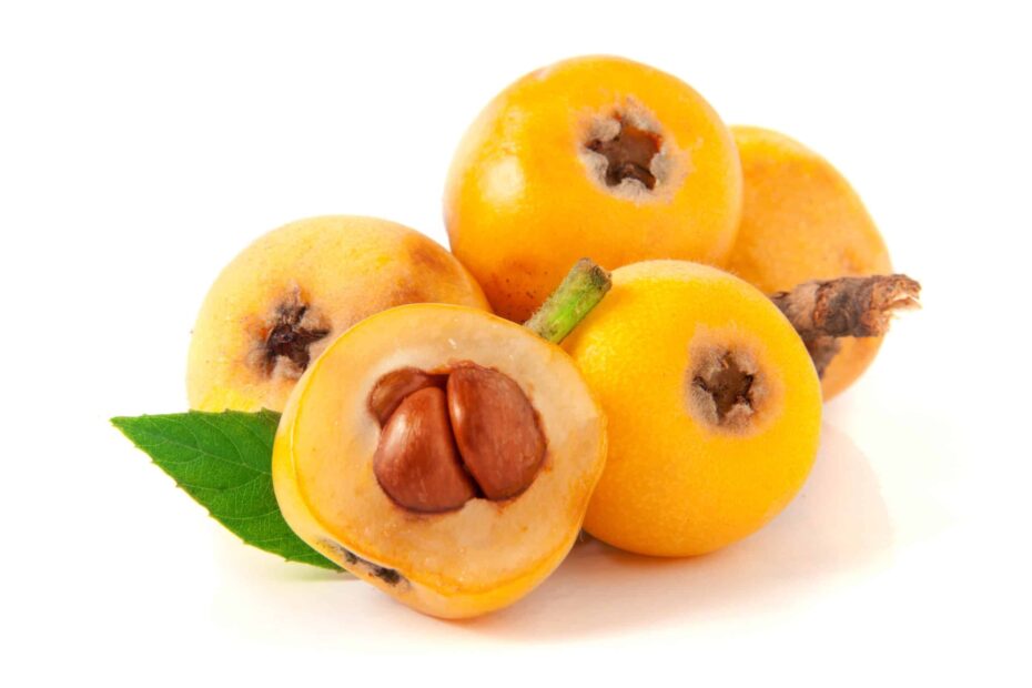 Loquat Vs Kumquat A Z Animals
