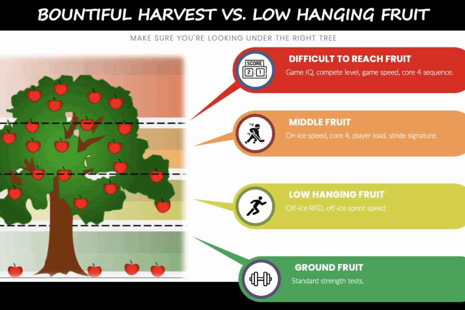 Low Hanging Fruit Anthony Donskov PHD