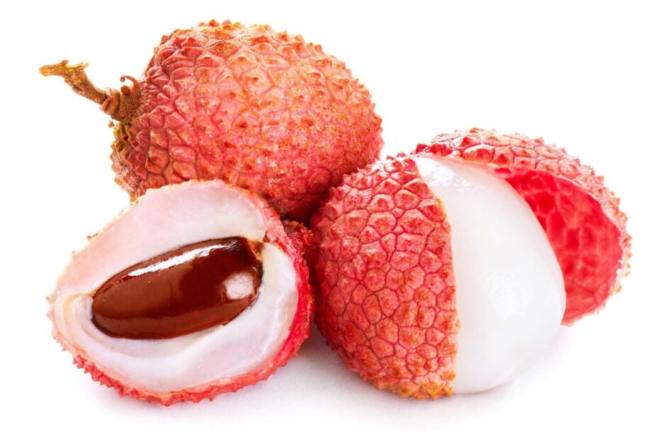 Lychee Description Tree Fruit Taste U0026 Facts Britannica