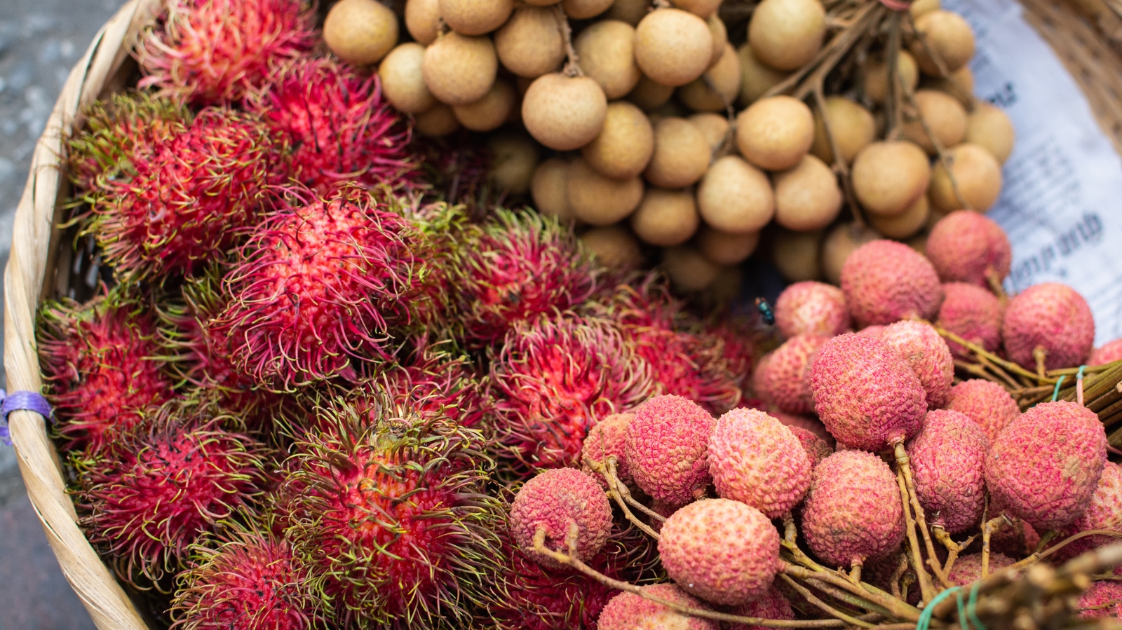 Lychee Vs Rambutan Vs Longan How Do These Tropical Fruits Compare 