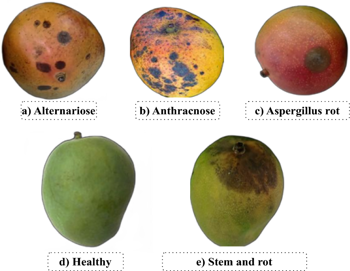 Mango Fruit Diseases Severity Estimation Based On Image Segmentation And Deep Learning Discover Applied Sciences