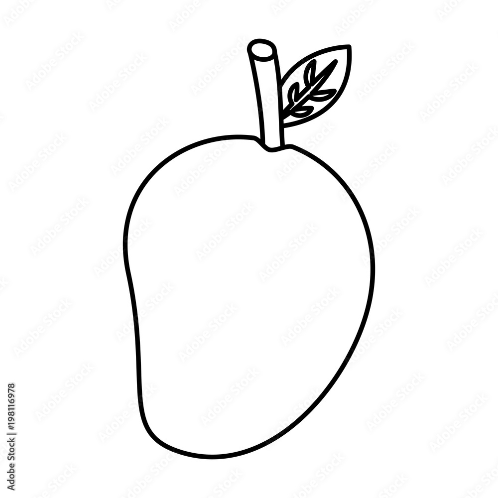 mango fruit outline picture