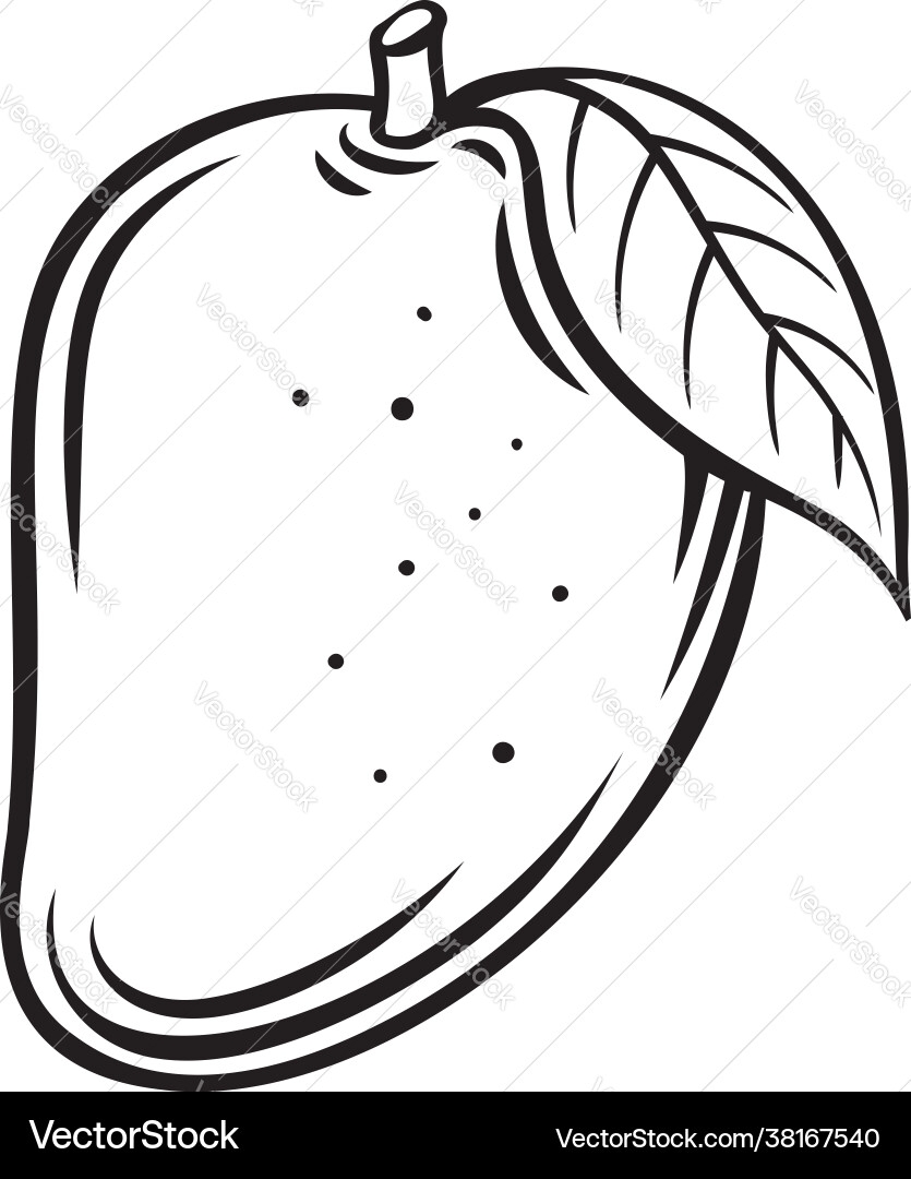 Mango Fruit Outline Icon Royalty Free Vector Image