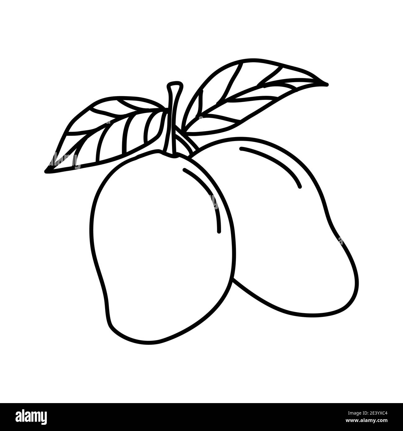 Mango Illustration Black And White Stock Photos U0026 Images Alamy