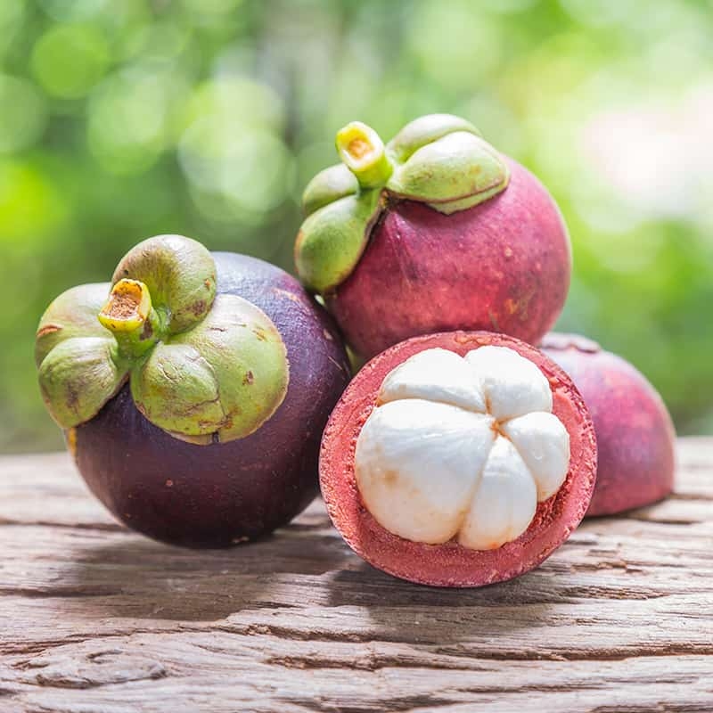 Mangosteen Benefits Nutrition And How To Use It Dr Axe