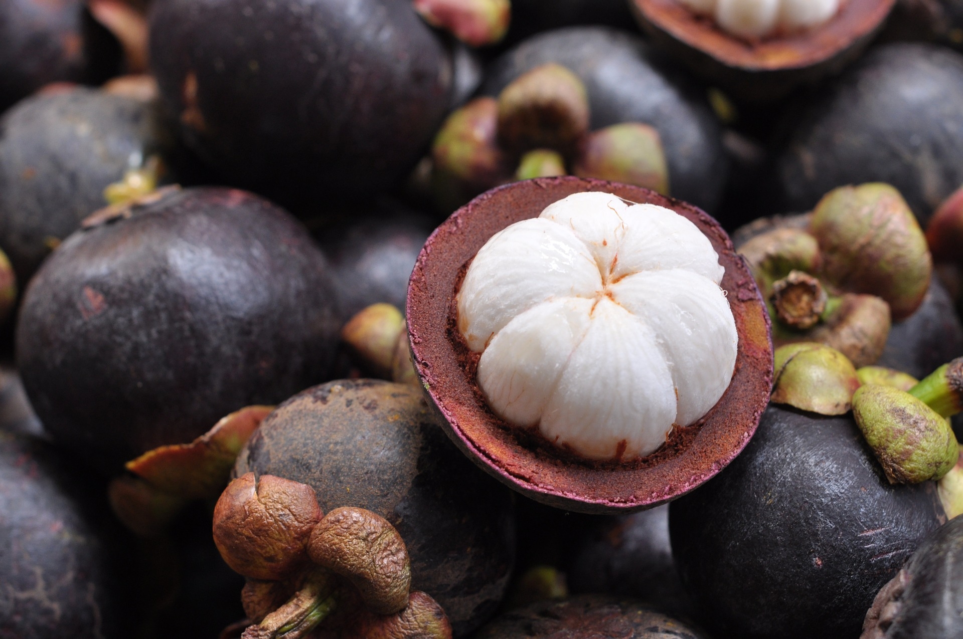 Mangosteen The Exotic Fruit Recette Magazine