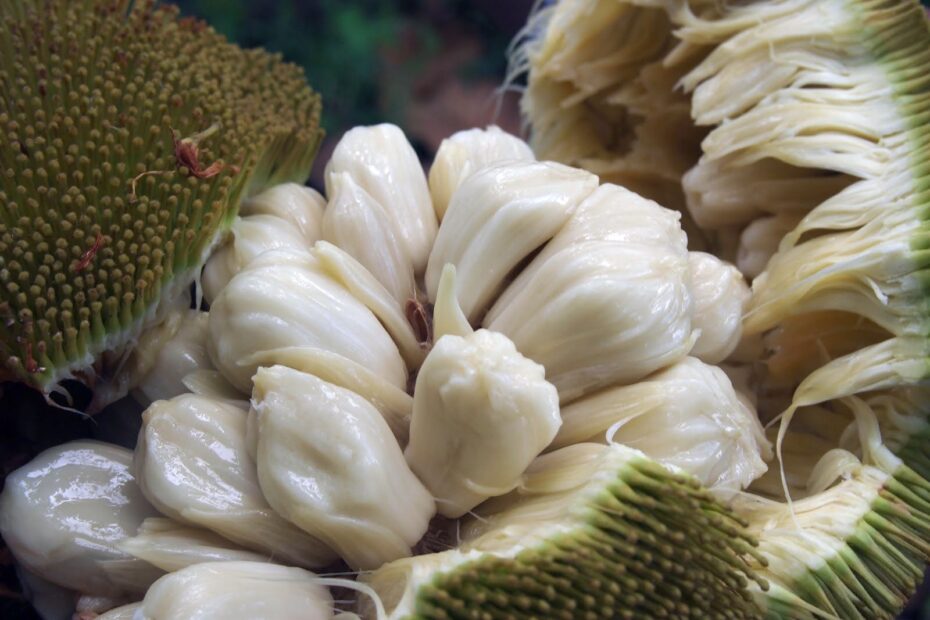 Marang Year Of The Durian