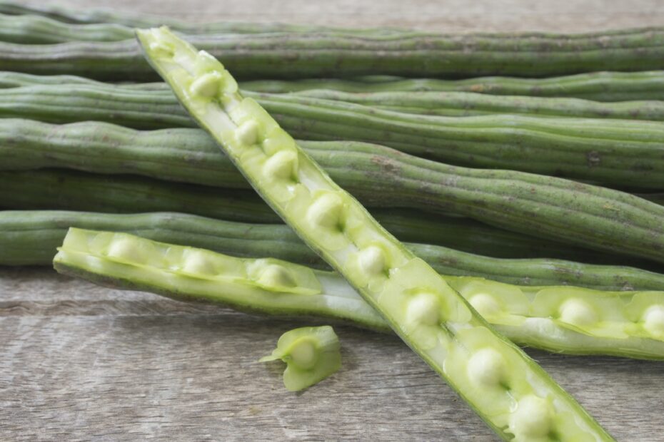My Mom Cooked Moringa Before It Was A Superfood Goats And Soda NPR