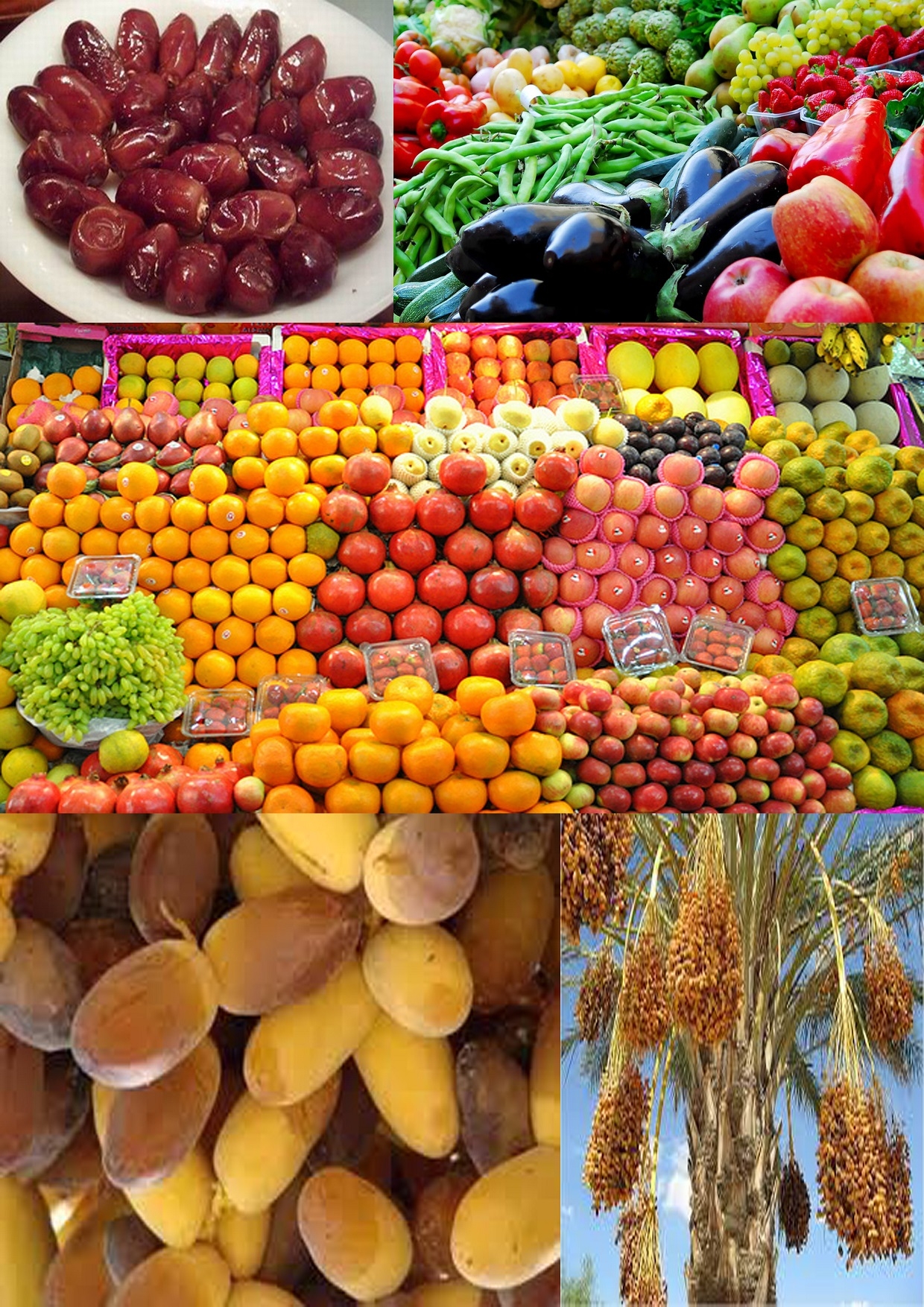 Nipah Virus An Opportunity For Pakistani Fruits And Vegetables Exporters Asia Foods International