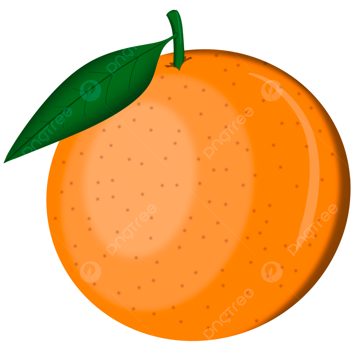 fruits pictures clipart