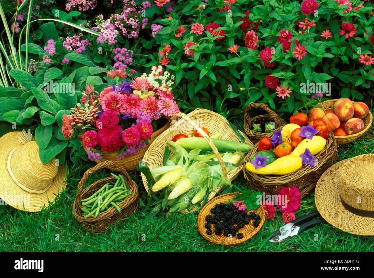 fruits and flowers pictures