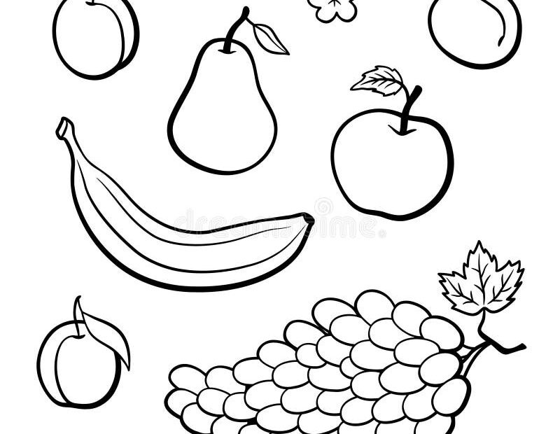 Outline Fruits Stock Illustrations 24 945 Outline Fruits Stock Illustrations Vectors U0026 Clipart Dreamstime