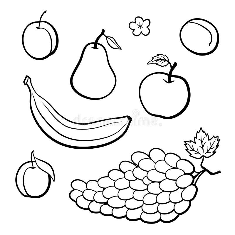 Outline Fruits Stock Illustrations 24 945 Outline Fruits Stock Illustrations Vectors U0026 Clipart Dreamstime