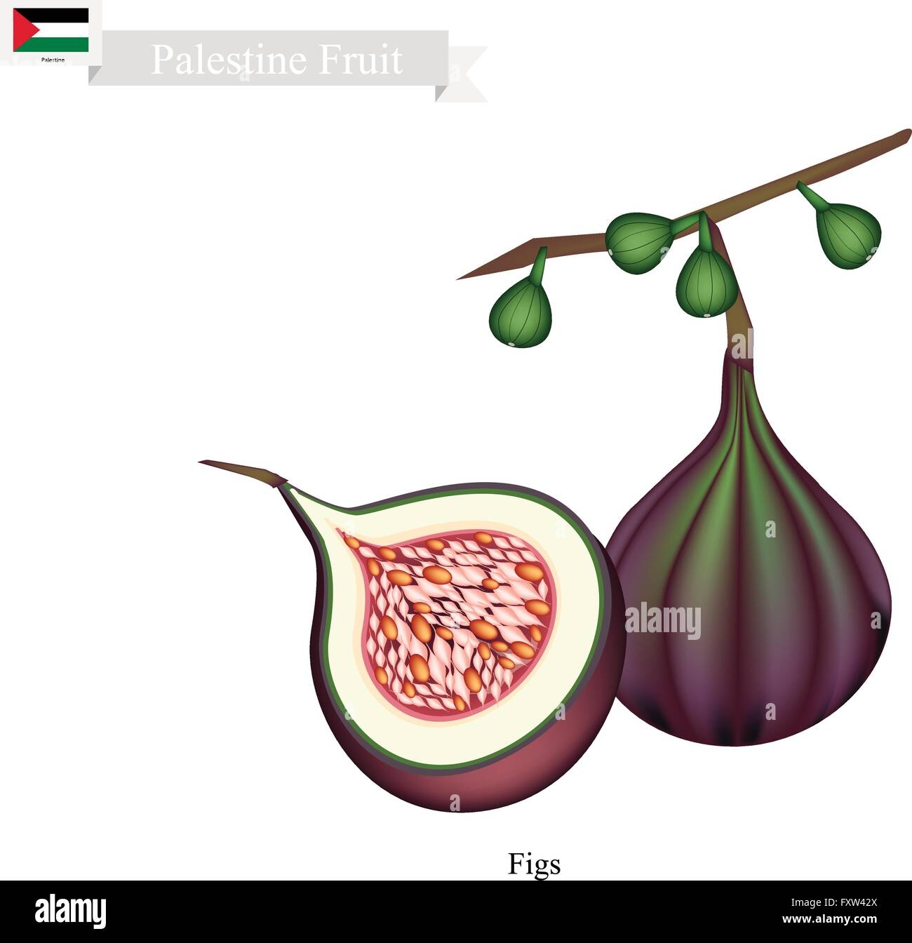 list of fruits in pakistan with pictures